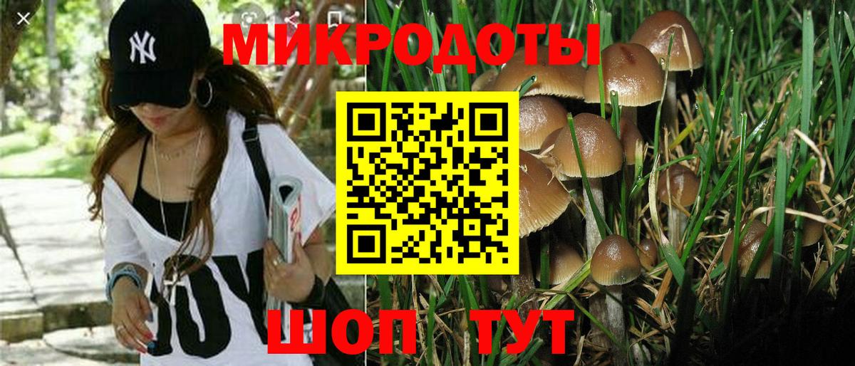 Озёрск  Псилоцибиновые грибы прущие грибы  Псилоцибиновые грибы мицелий  купить наркоту  Вход с VPN 